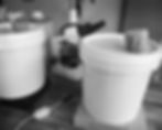 Yeast Propagation