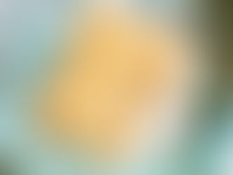 Three Layers of Lemony Almond Goodness