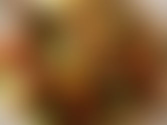 Gourmet Style Stir Fry, without the "Cheque Please"