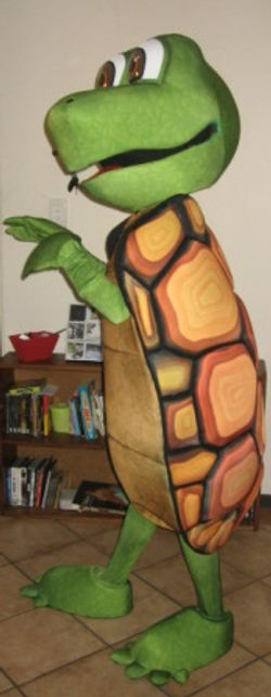 Tortoise