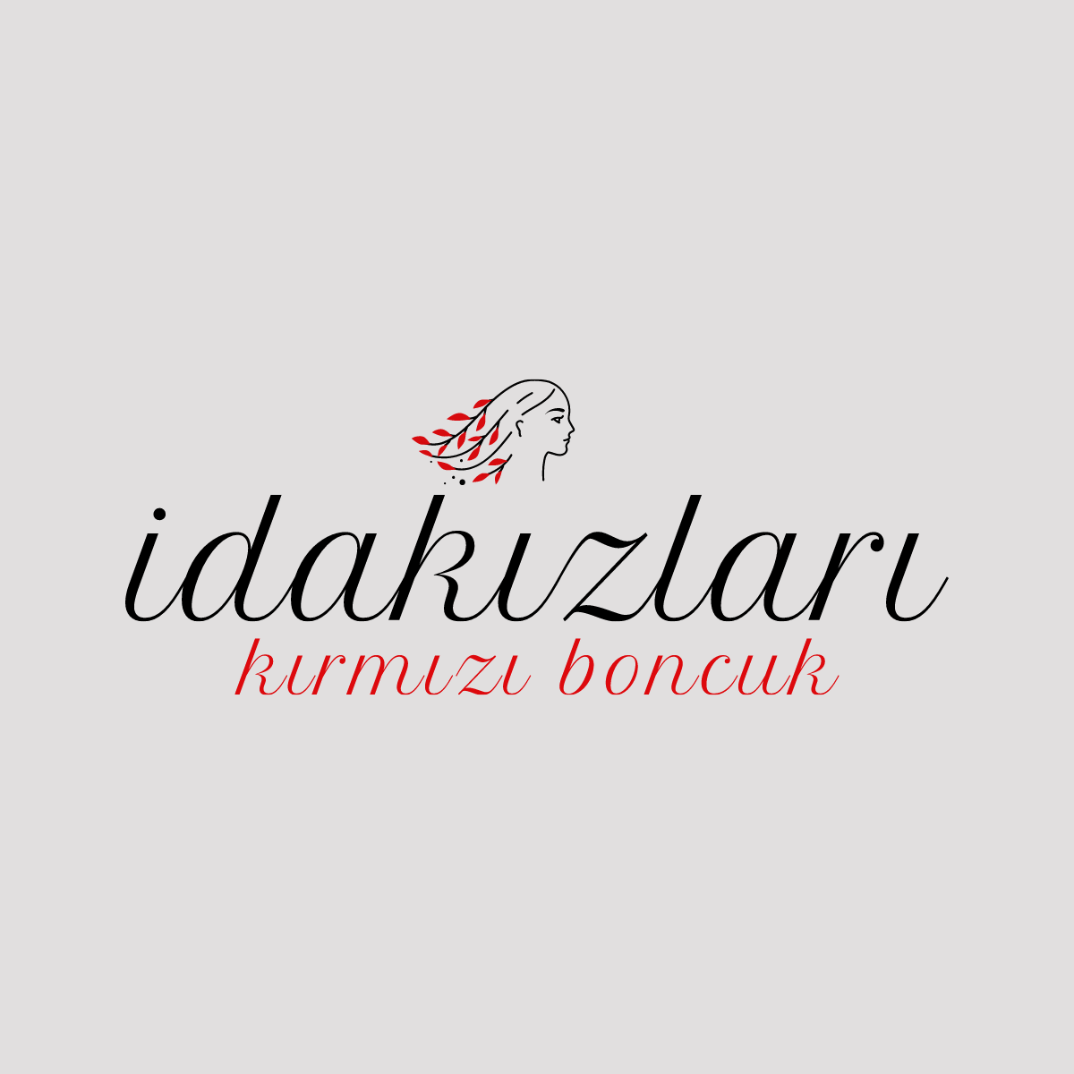 Yazarın fotoğrafı: İdakızları