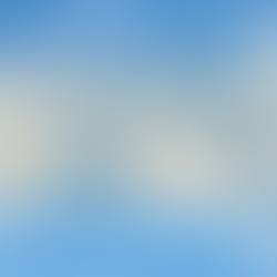 Natural Laundry Soap