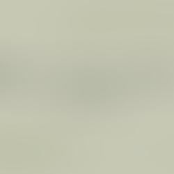 Spinach & Bacon Egg Muffins Recipe