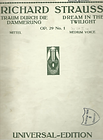 Strauss - Traum durch die Daemmerung Pag