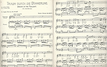 Strauss - Traum durch die Daemmerung Pag