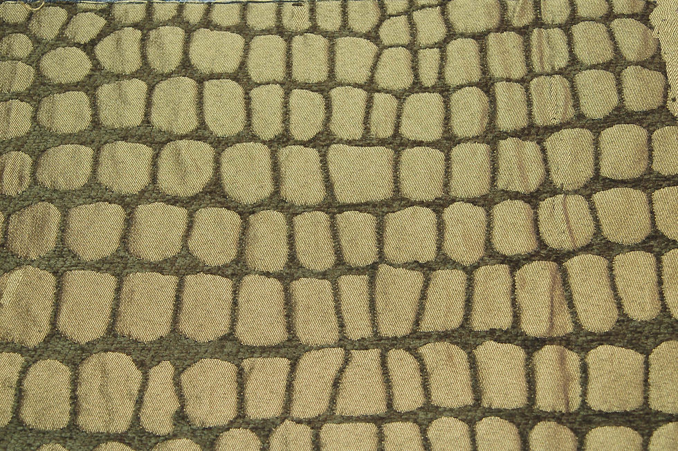 Cocodrilo sol oscuro