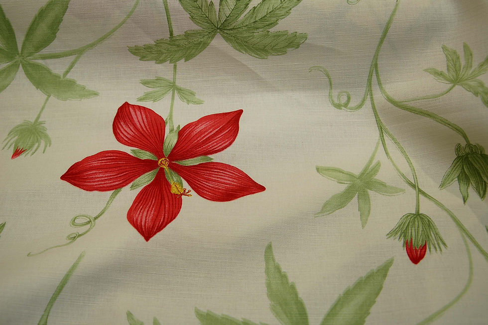 Hibiscus 82680