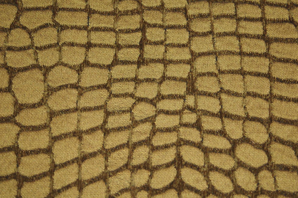 Cocodrilo bronce