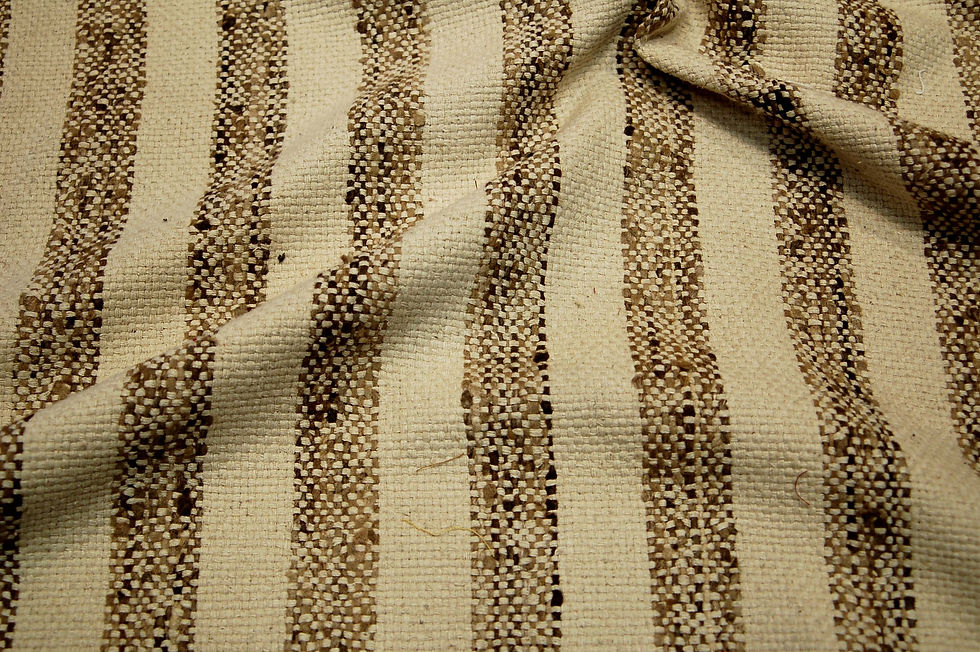 Rayas 38060