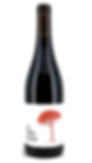 Barranco Oscuro - El Pino Rojo - 2015