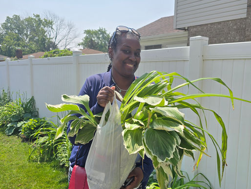 The Hostas and the Oil: A Garden Revelation
