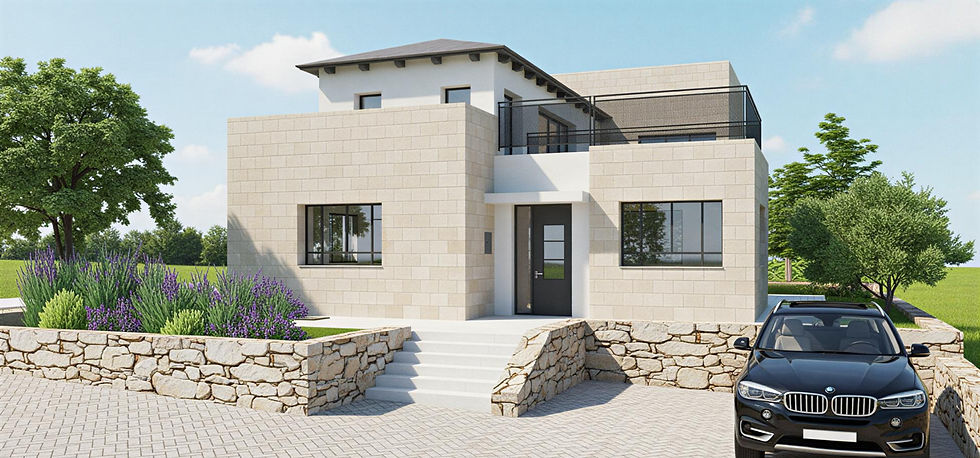 הדמיה AI_edited