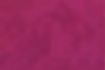 01_About1.webp
