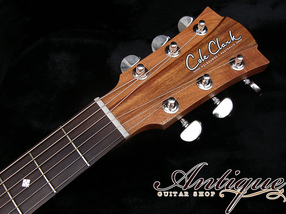 サムネイル： Cole Clark CCFL2E-BB Fat Lady 2 Bunya-Top & Blackwood-Back “超目玉品‼”