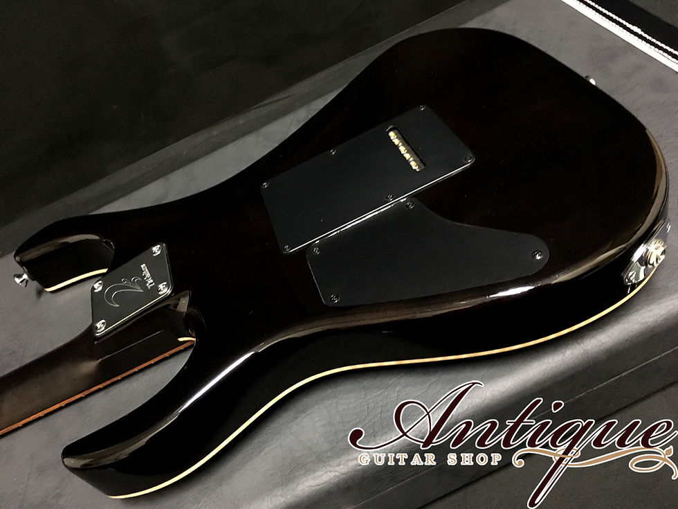 サムネイル： T's Guitars DST-Pro 24 Mahogany Limited 2018 Trans Blue Denim w/ Hard Case 3.4kg