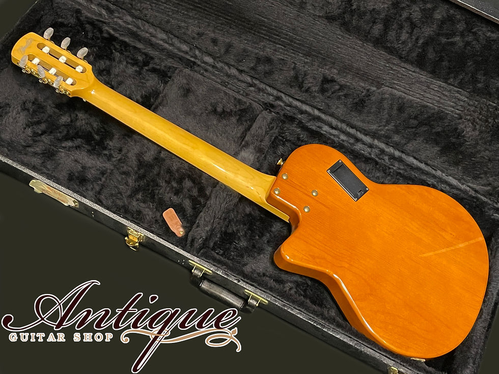 サムネイル： Carruthers Guitars ACN Acoustic Nylon Black Ring & EMG Pre-Amp w/ Signed Head