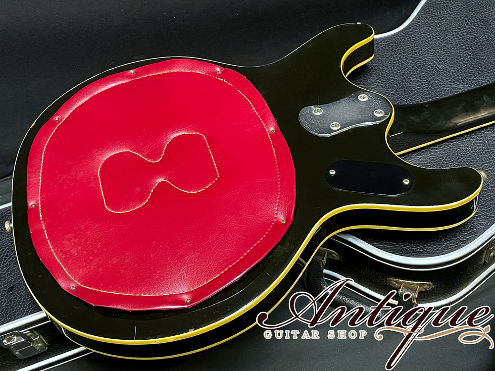 サムネイル： acoustic Control Corporation Black Widow 1973年製