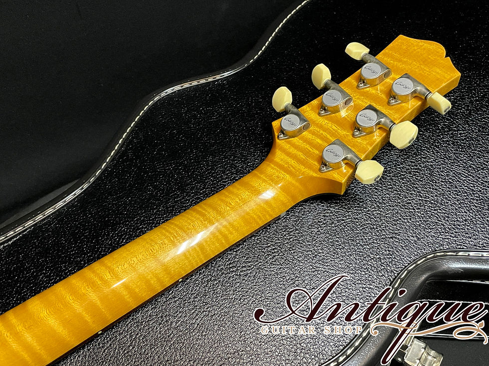 サムネイル： Collings 360 LT M Ash / Aged Olympic White Light Aged w/ Figured Neck Near-M