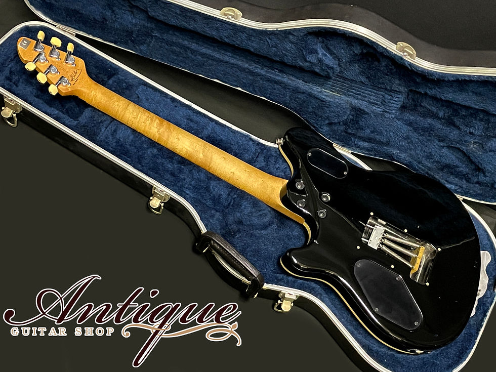 サムネイル： PEAVEY USA EVH Wolfgang Standard 1997年製 Black Gross