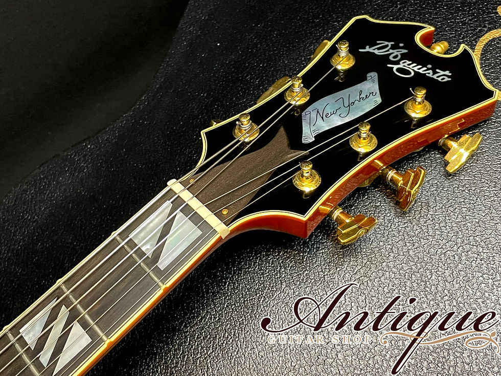 サムネイル： D’Aquisto DQ-NYE New Yorker 17inch Archtop & Back 2008年製 Violin Burst