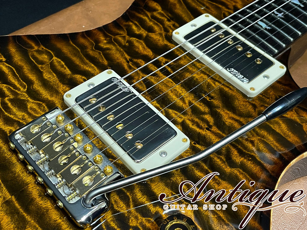 サムネイル： Paul Reed Smith (PRS) Private Stock Brazilian #6049 Singlecut Trem