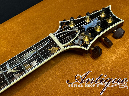 ギター Paul Reed Smith Private Stock Custom 24 Uniquely Beautiful! The PRS Private Stock Custom 24 - YouTube