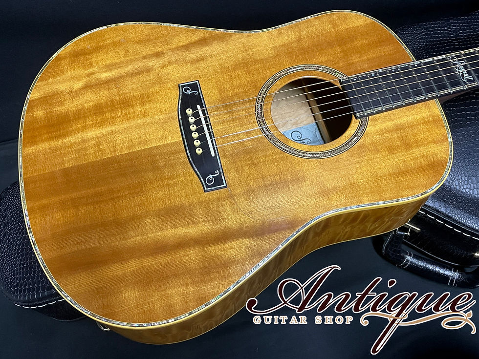 サムネイル： Seagull(Canada) Custom Shop Special Custom Order Model 1996