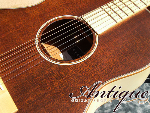 Stafford Maple Chocolat All Solid Model Mint-Condition | 2016 