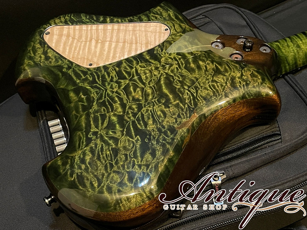 サムネイル： Canton Custom Instruments Allan Holdsworth Model 2009年製