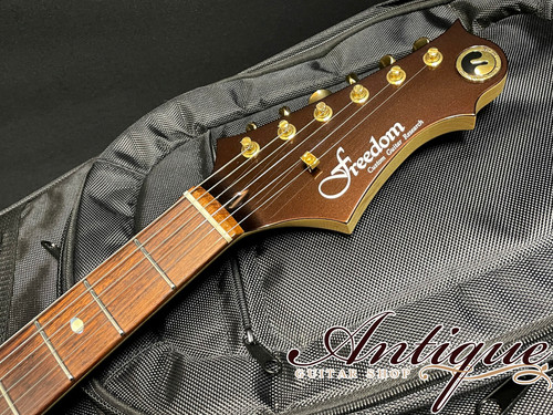 Freedom Custom Guitar Research HYDRA Classic 2Point 22F 2017年製
