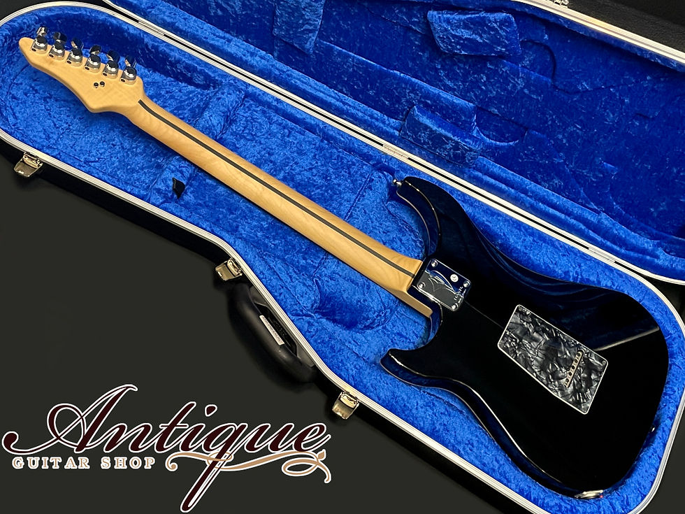 サムネイル： Vigier Guitars Excalibur Special 6 String(VE6-CVSP1) 2017 Black Diamond 3.50kg