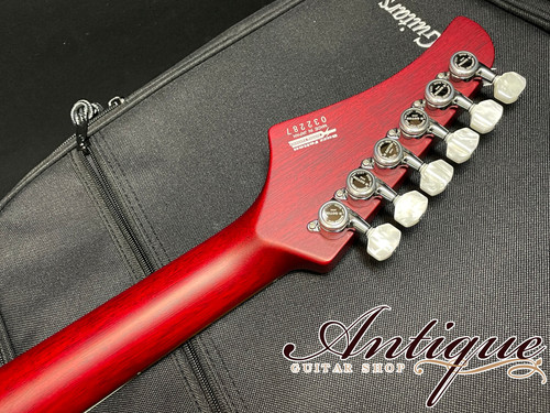 T's Guitars DST-Pro 24 Mahogany Limited 2020 | 2016