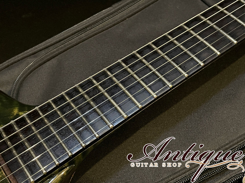 サムネイル： Canton Custom Instruments Allan Holdsworth Model 2009年製