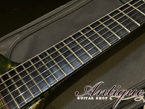 Canton Custom Instruments Allan Holdsworth Model 2009年製 | 2016