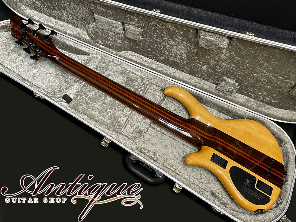 サムネイル： MAYONES Custom Shop Master Built Patriot Custom Semi-Hollow 6st 2019