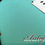サムネイル： Fender Custom Shop TBC 1960 Stratocaster ‘11年製 Surf Green Relic