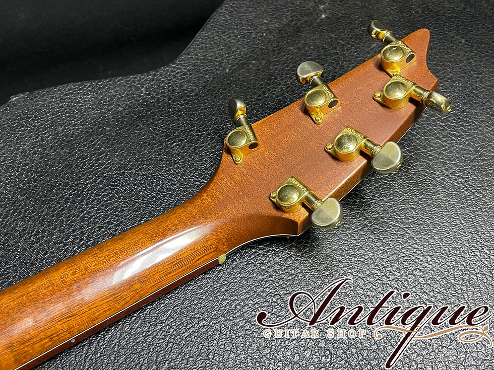 サムネイル： Breedlove EG/5/Mah EdGerhard Signature 2002年製