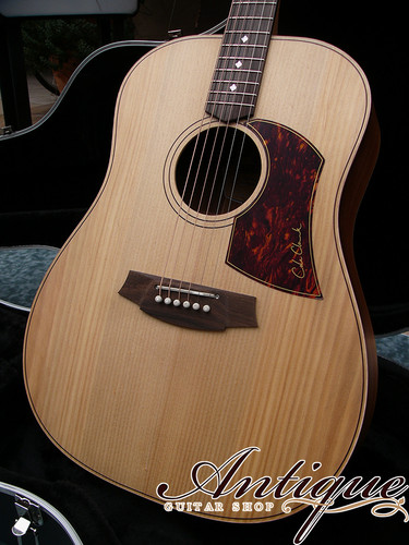 Cole Clark CCFL2E-BB Fat Lady 2 Bunya-Top & Blackwood-Back “超目玉 
