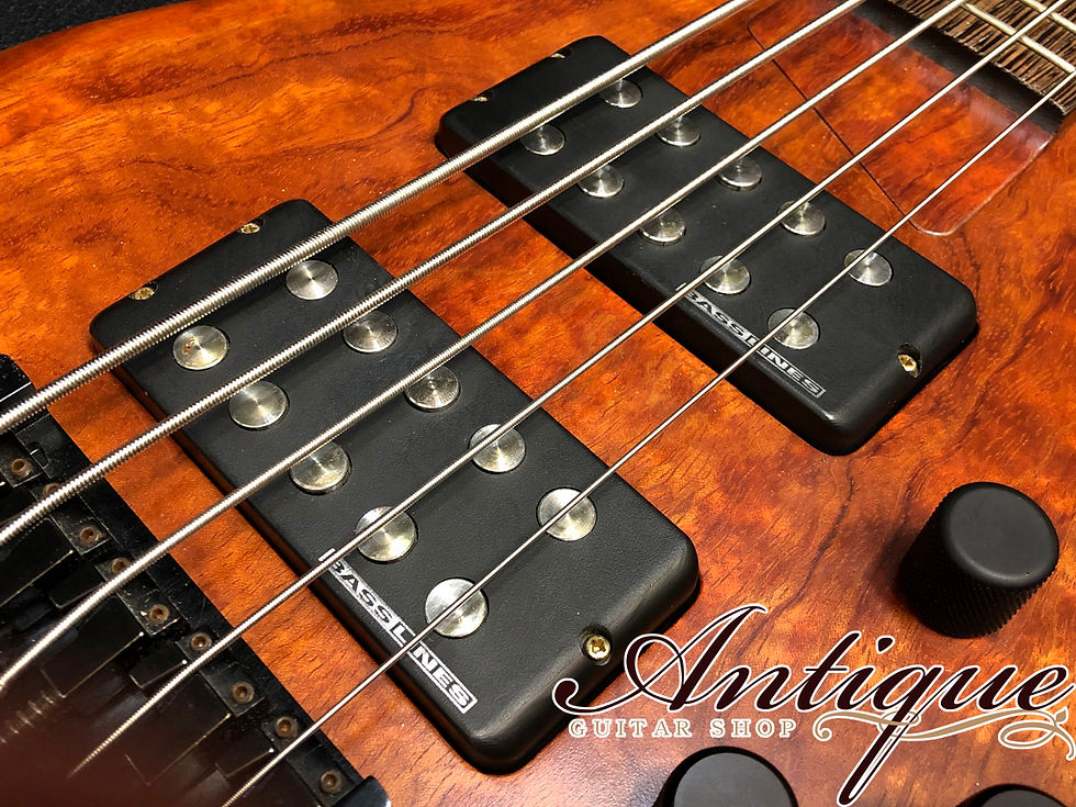 サムネイル： ESP Custom Made WS SL-5 1990s 1P Figured Bubinga Body