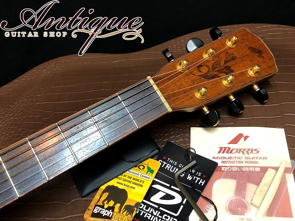 サムネイル： Morris SC-81 2015年製 All-Solid Mahogany Limited Edition “Mint Condition”