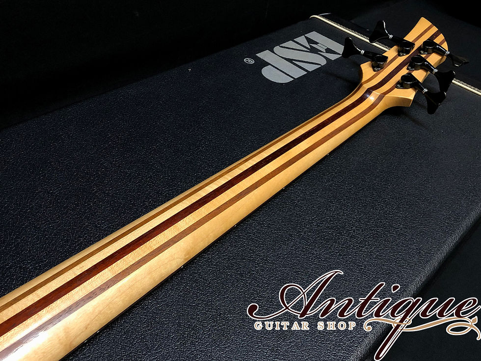 サムネイル： ESP Custom Made WS SL-5 1990s 1P Figured Bubinga Body