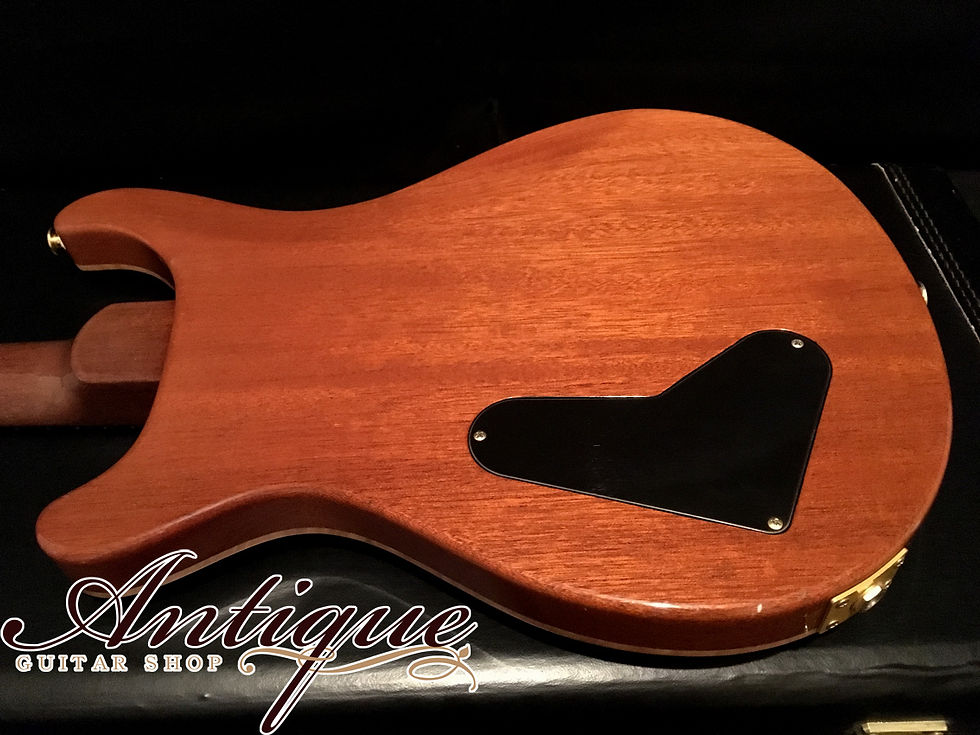 サムネイル： Paul Reed Smith(PRS) 10th Anniv. Ltd Artist Series 1995年製 Maple Natural #197