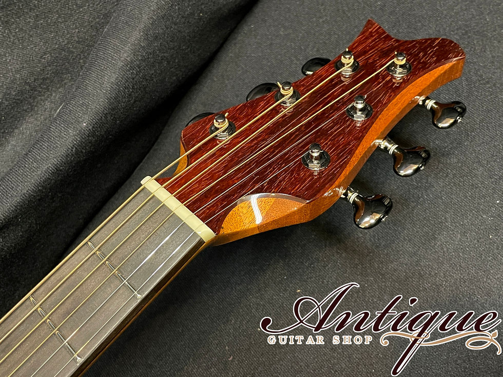 サムネイル： SUGITA KENJI Acoustic Guitars Carrera DL 2022年製