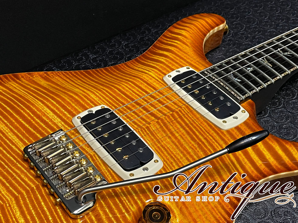 サムネイル： PRS Private Stock 2016 June Guitar of the Month Paul's Guitar "Proto Type #1"