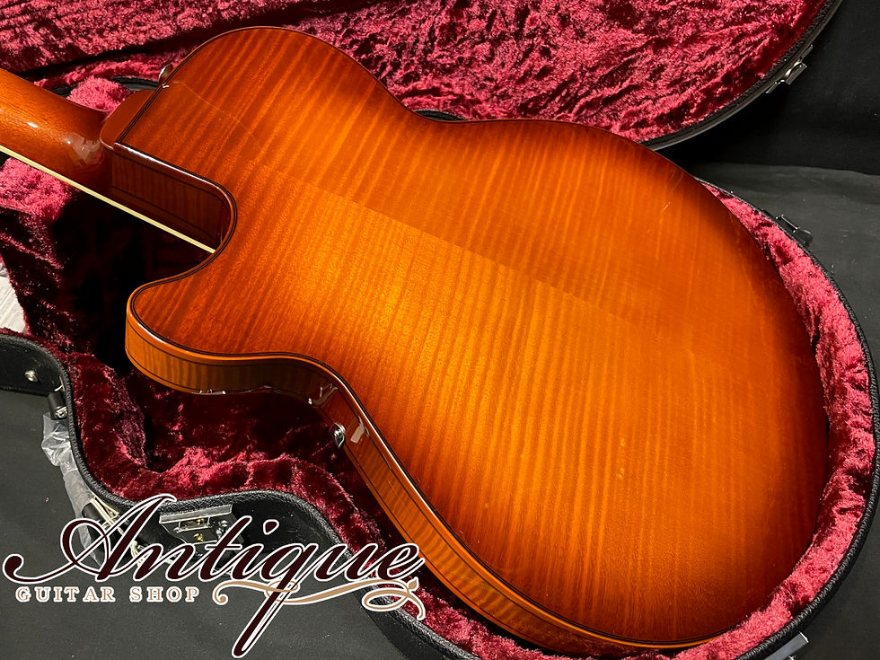 サムネイル： Sadowsky Archtops Series Semi Hollow 2018 Sienna Burst / Dot Marker