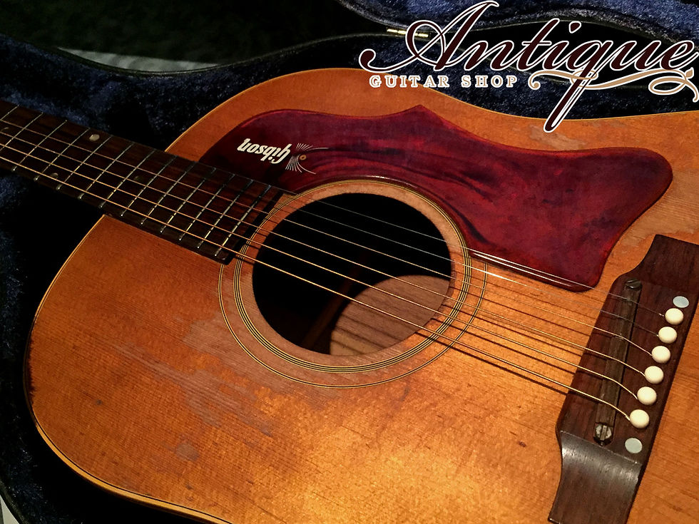 サムネイル： Gibson J-50(Natural) Adjustable 1968年製 Full-Original except Nut “Players Price”