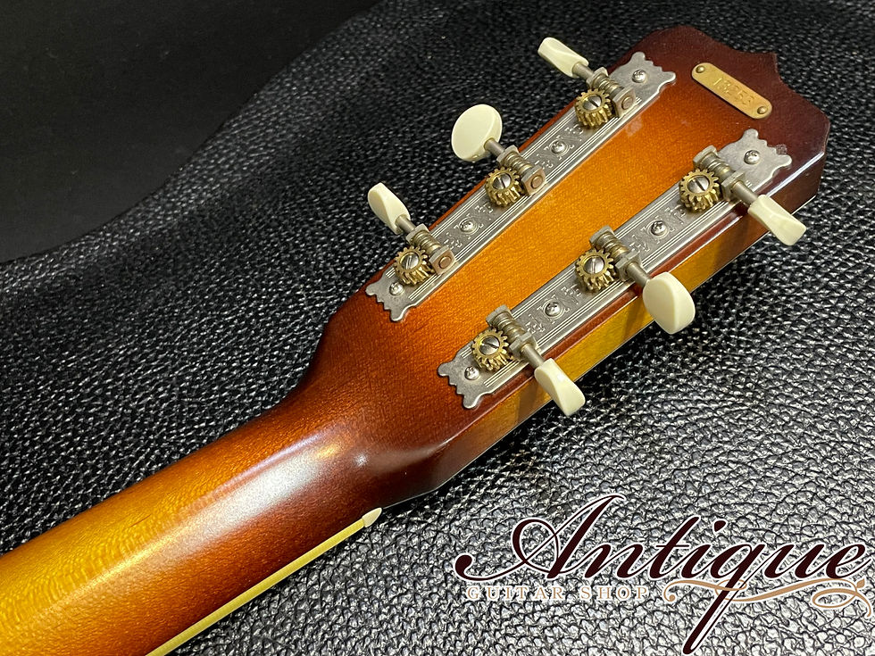 サムネイル： National Polychrome Tricone Cutaway Resonator 2007年製 Gray Crinkle EX+++ #829