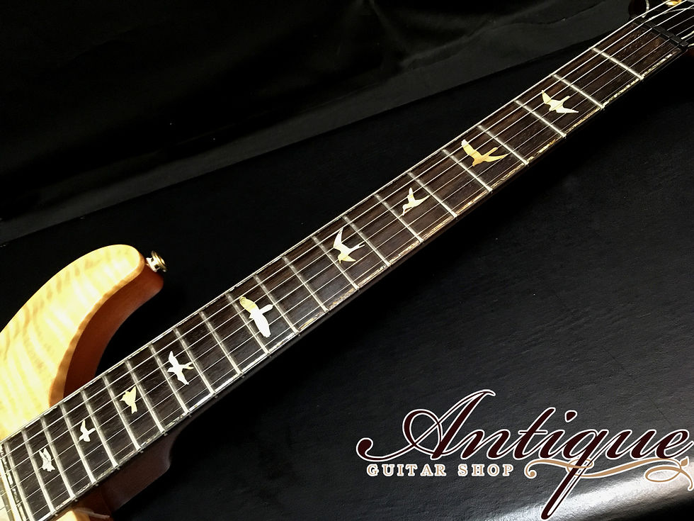 サムネイル： Paul Reed Smith(PRS) 10th Anniv. Ltd Artist Series 1995年製 Maple Natural #197