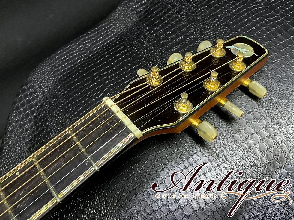 サムネイル： Seagull(Canada) Custom Shop Special Custom Order Model 1996
