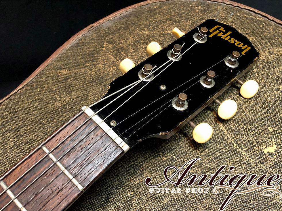 GIBSON melody maker 用　ピックガード　２枚セット　新品 Parchment Pickguard For 1965-1967 Gibson Melody Maker SG